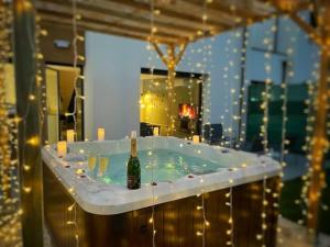 Le GREENSPA - DIJON - SPA-jardin-parking privé