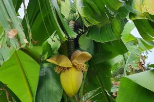 Villa piscine balnéothérapie et jacuzzi entièrement privée
