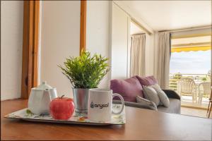 NOVELTY 2 HABITACIONES VISTA AL MAR