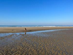 Studio lumineux avec loggia, à 50m de la plage, parking privé, proche commerces et restaurants - FR-1-306-1236