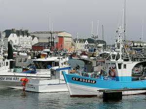 Maisons d'hotes La Rose des Sables : photos des chambres