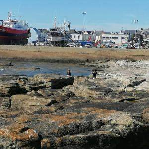 Maisons d'hotes La Rose des Sables : photos des chambres