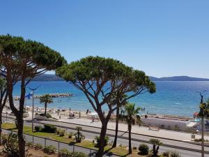 Studio cabine climatisé avec terrasse, parking, animaux admis - FR-1-100-184