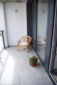 J. Ralio apartamentai (monkey)