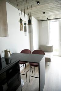 J. Ralio apartamentai (monkey)