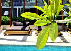 Salinas Exclusive Resort 811-B2