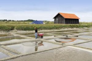 Maisons de vacances '' FLEUR DE SEL '' : photos des chambres