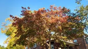 Private Room 2 for Non-Smokers Only - كلينسفيل