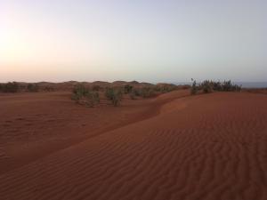 Nomadic Desert Lounge