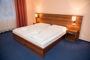Double Room with Water Park and Sauna Access room in Wellness Hotel Frymburk