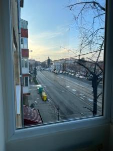 Premium Apartment Șagului