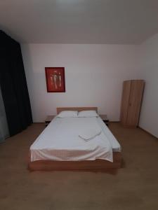 Piata Unirii- 1 Room Studio Apartment