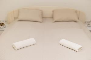 Parliament Exclusive Gallery