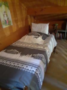 Chalets chalet des Greunnouilles : photos des chambres