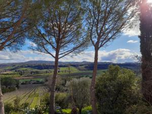 8380 Saturnia Terme Dependance