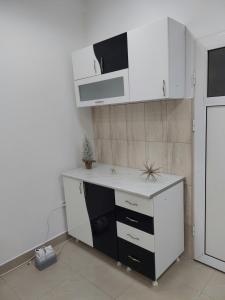 Apartman Aleksić u samom centru grada
