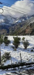 Hotel gite cantinho davo