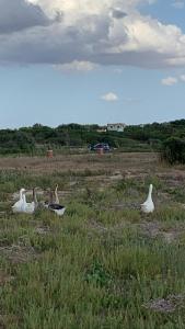 Villa Marisa Holiday Home