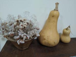 New Honey House, Serra do Marão Ansiães-Amarante