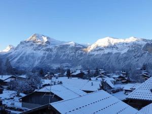 Studio moderne de 18m2 aux carroz darâches
