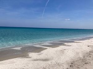 B&B Mare E Natura img3