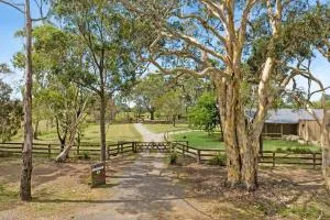 Fentons Run High Range - Barrallier