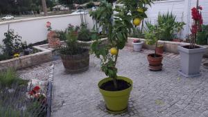 MAISON PROCHE PLAGE SUR BASSIN D ARCACHON