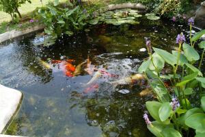 Ferienwohnung-Ginkgo-A3