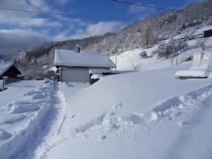 Maisons de vacances Gite La Bresse, 2 pieces, 3 personnes - FR-1-589-168 : photos des chambres