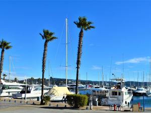 Appartements Appartement 2 pieces avec jardin a 50m de la plage - 4 couchages, parking prive, terrasse - FR-1-226B-9 : photos des chambres