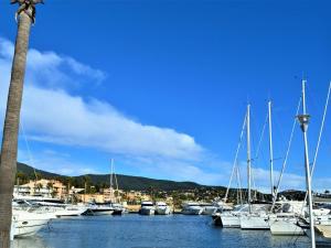 Maisons de vacances Maison Cavalaire-sur-Mer, 3 pieces, 4 personnes - FR-1-226B-49 : photos des chambres