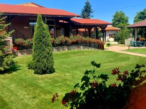 Вилен комплекс Дарибел