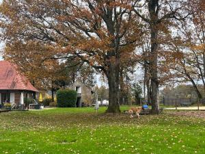 Appartements Nature et calme : photos des chambres