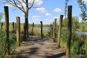 Vakantieverhuur Noordwolde