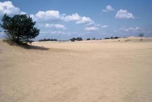 Vakantieverhuur Noordwolde