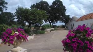 Dreibettzimmer mit Gartenblick