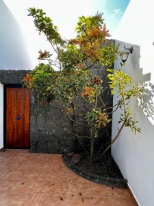 Mi Villa