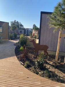 Campings Camping de la Mer : photos des chambres