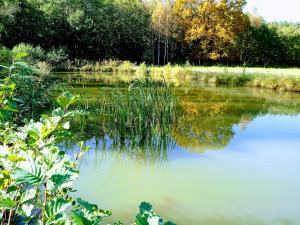 Agroturystyka Różanka