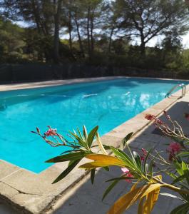 Maisons de vacances Mas Frederi - Maison avec piscine pour 10 : Maison 5 Chambres