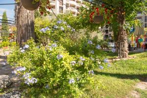 Cascadas Holiday Apartments