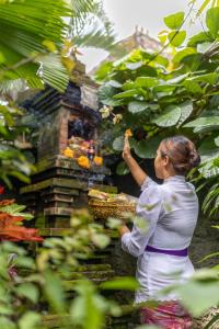 The Gardeners Cottage