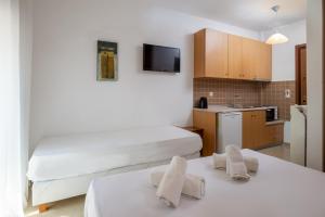 Studio room in Villa Maria 2