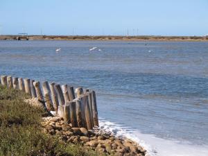 Villas Family house with swimming pool & garden, Camargue : photos des chambres