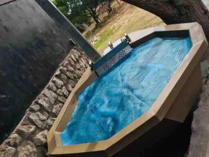 A Touch of Bushveld by the Sea