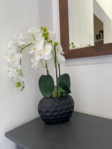 Sorinas Home WB16 Top 8