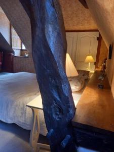 B&B / Chambres d'hotes LES TALOCHES : photos des chambres