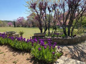 Villas Campagne Salettes : photos des chambres