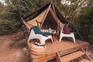 Campings Lodge en Pays Cathare : photos des chambres