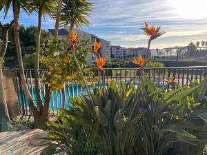 T2 Rez de jardin 4 personnes acces direct piscine superbe vue mer Parking privé ombragé lAM